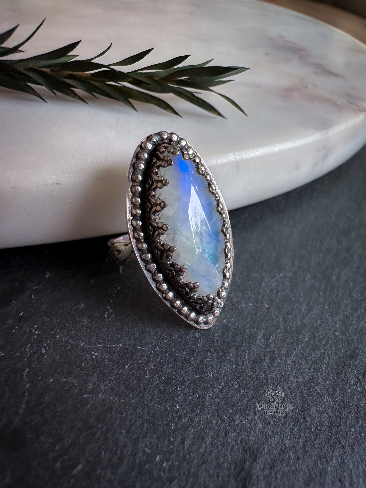 Moon Tide Moonstone Ring in Sterling Silver