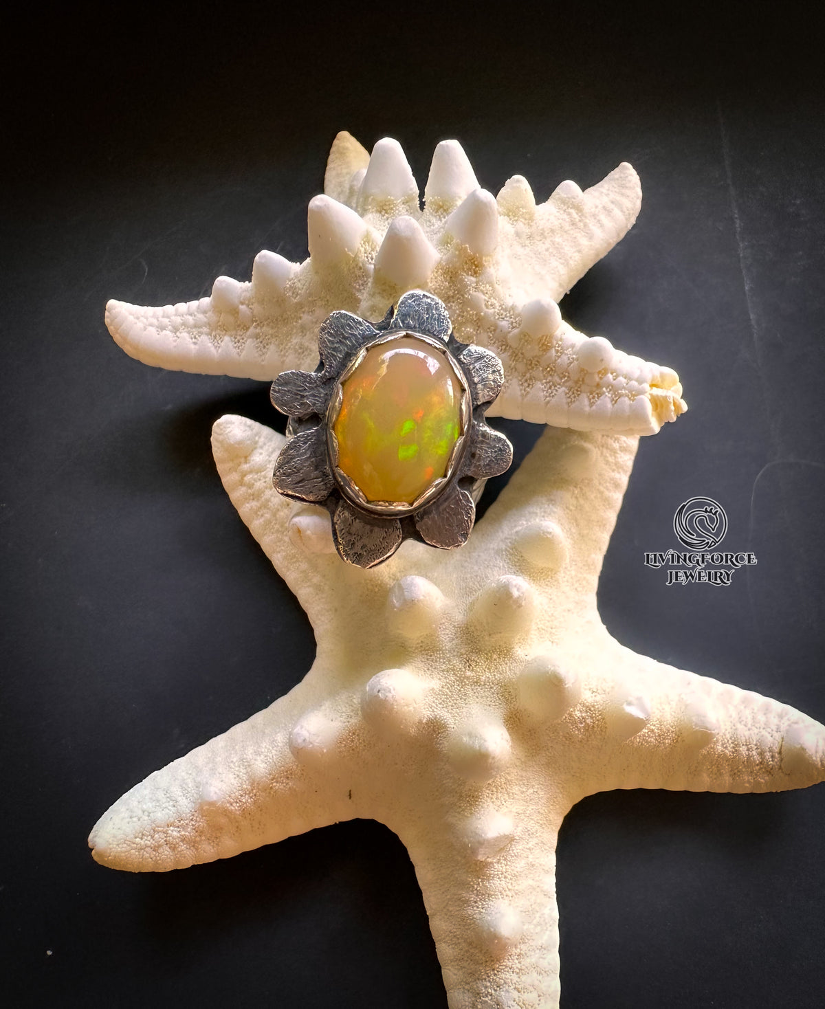 Leta- Bloom of Light Statement ring