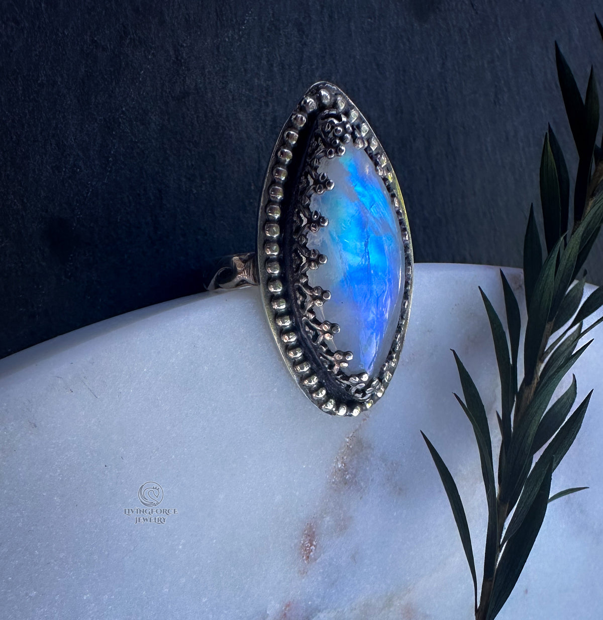 Moon Tide Moonstone Ring in Sterling Silver