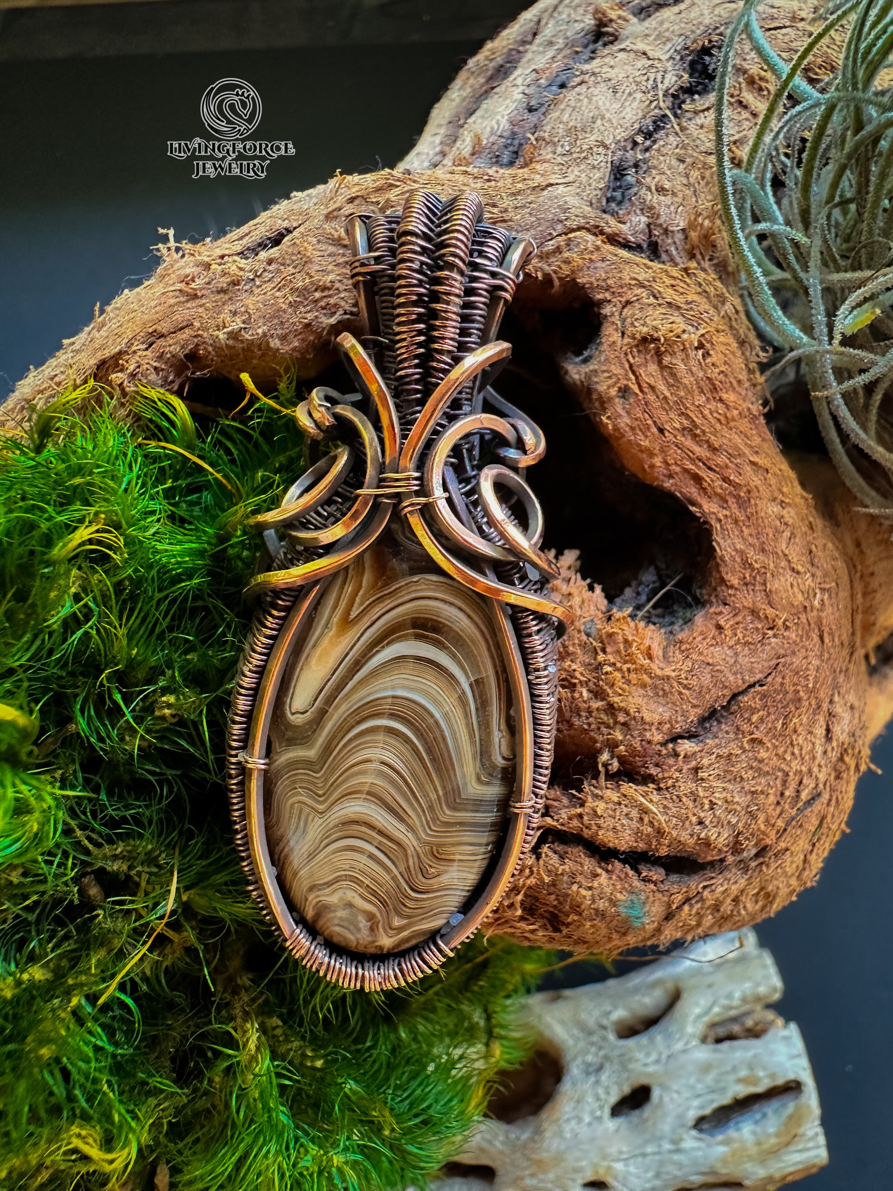Erlea Talisman, Wood Schalenblende, Wire Wrapped Statement Pendant