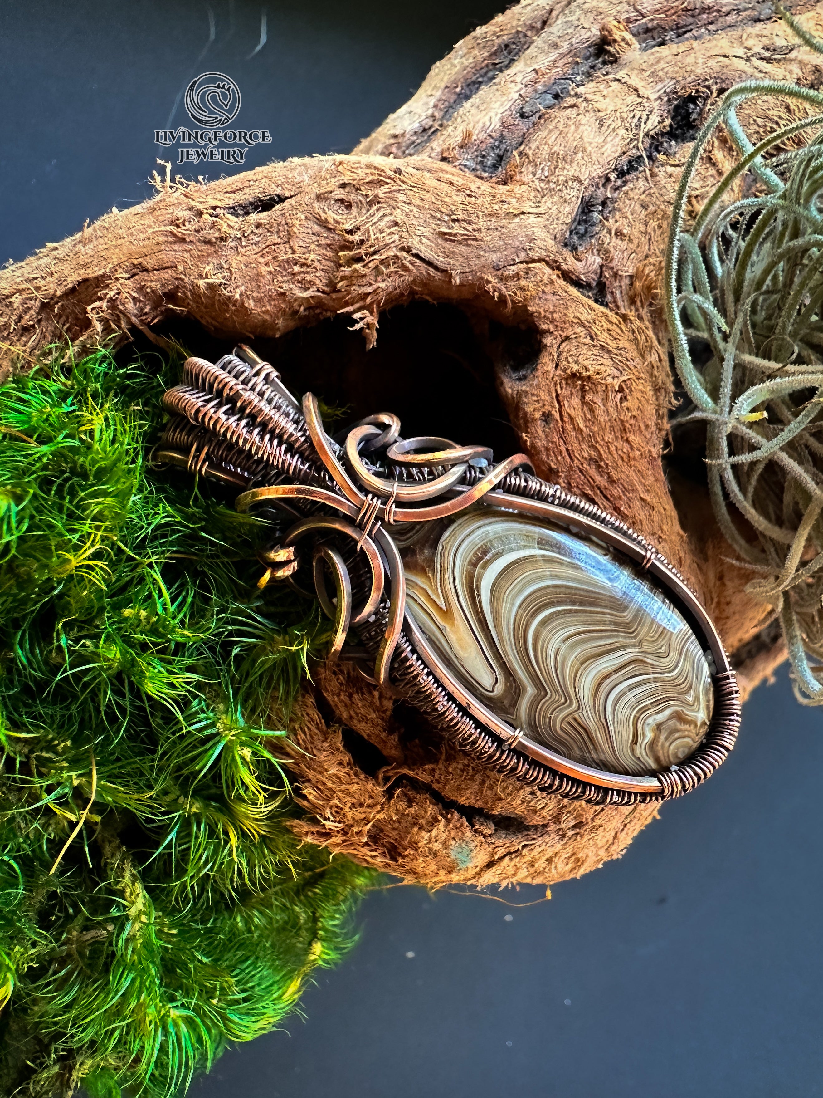 Erlea Talisman, Wood Schalenblende, Wire Wrapped Statement Pendant